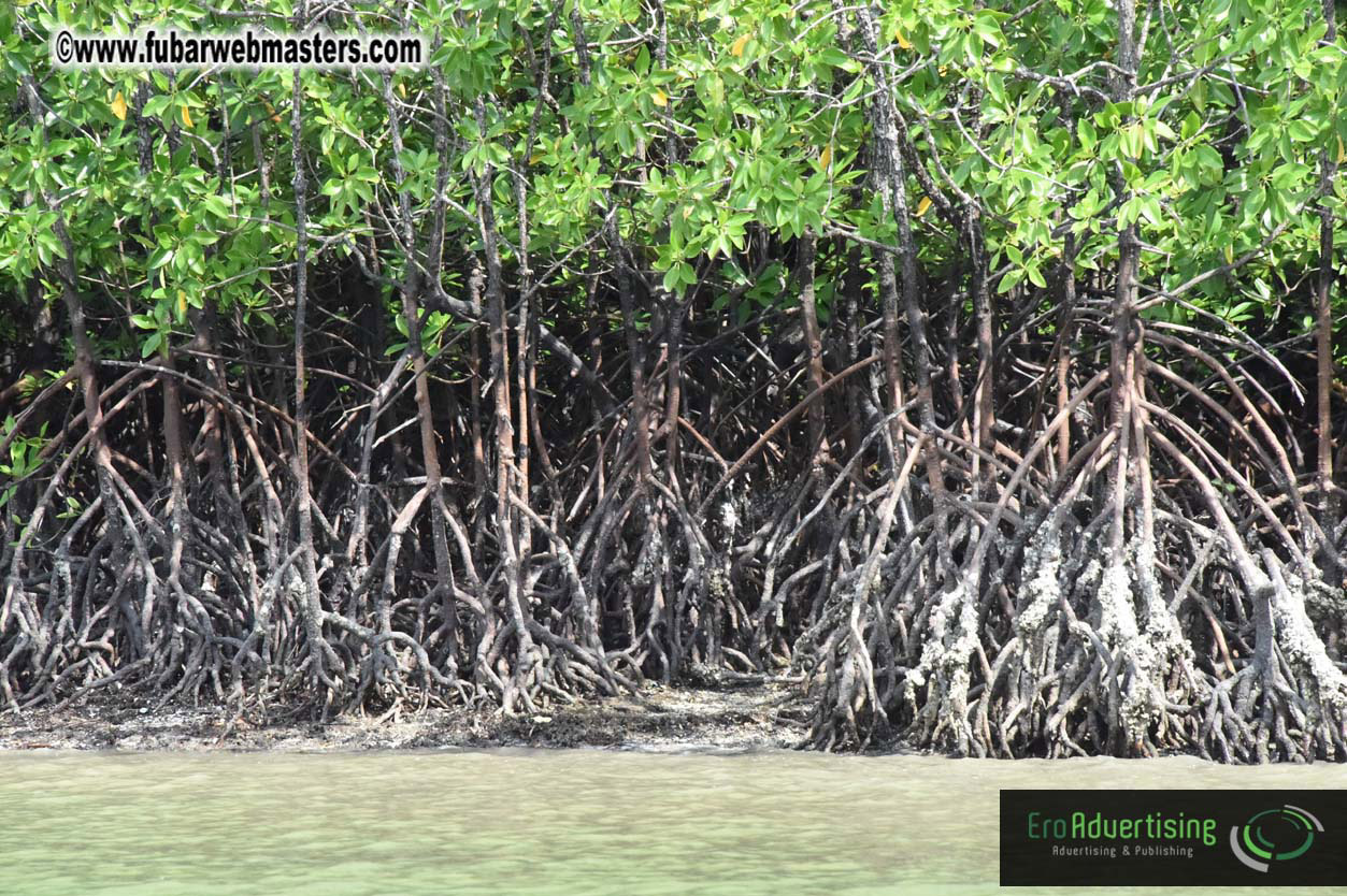 James Bond Island Networking Cruise