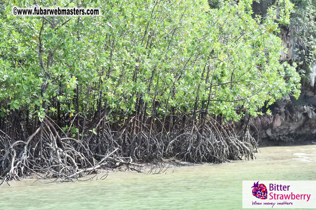 James Bond Island Networking Cruise