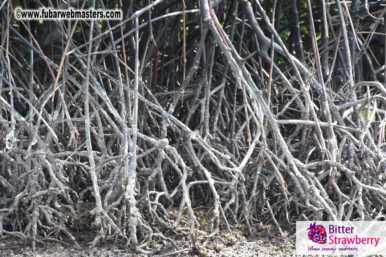 James Bond Island Networking Cruise