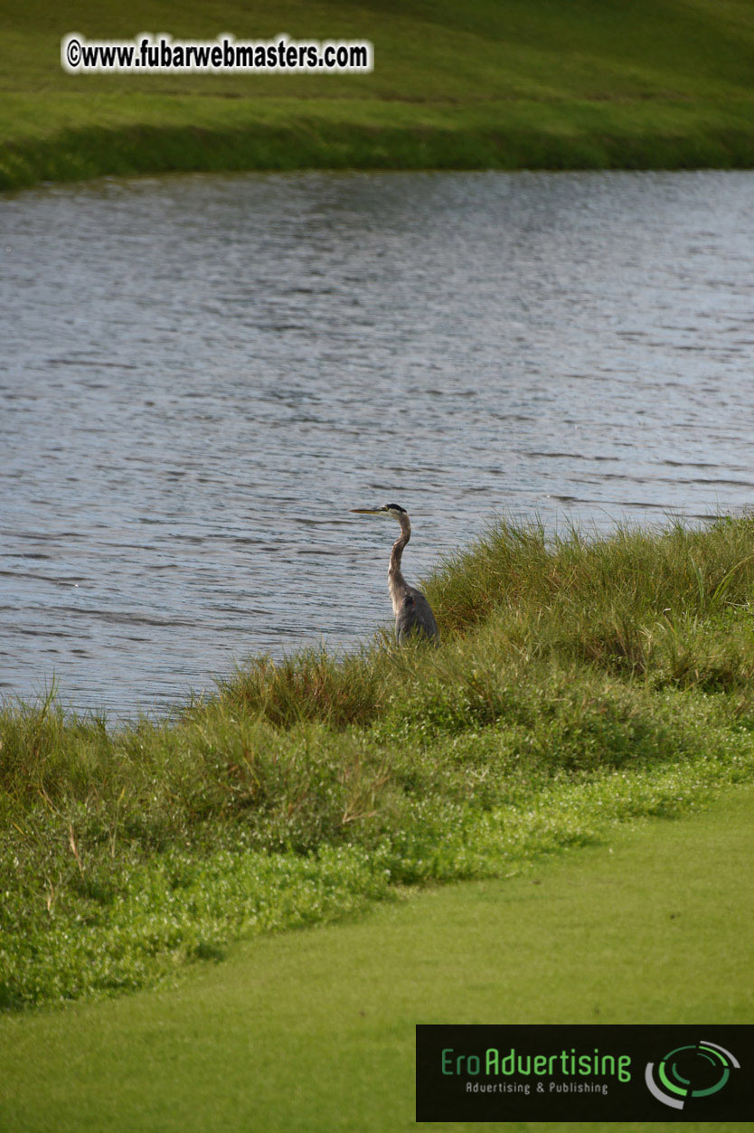 Global Rhapsody Golf Day