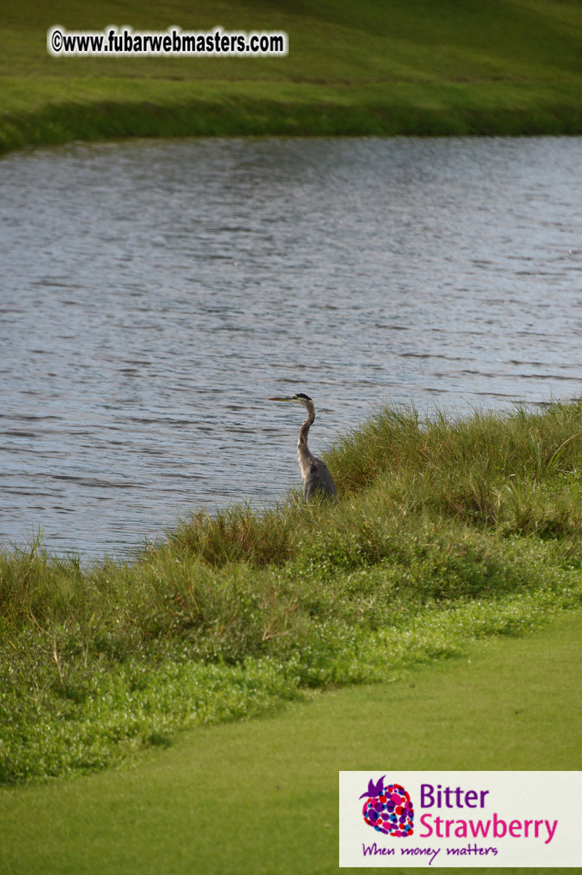 Global Rhapsody Golf Day