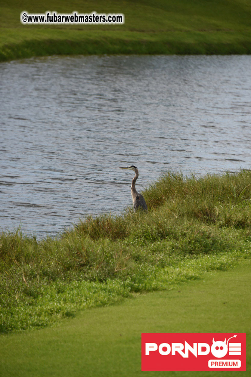 Global Rhapsody Golf Day