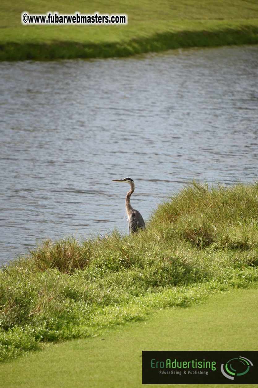 Global Rhapsody Golf Day