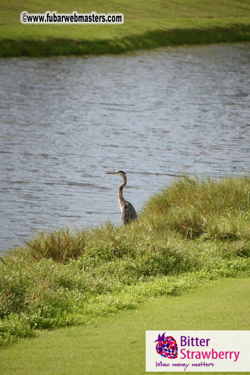 Global Rhapsody Golf Day