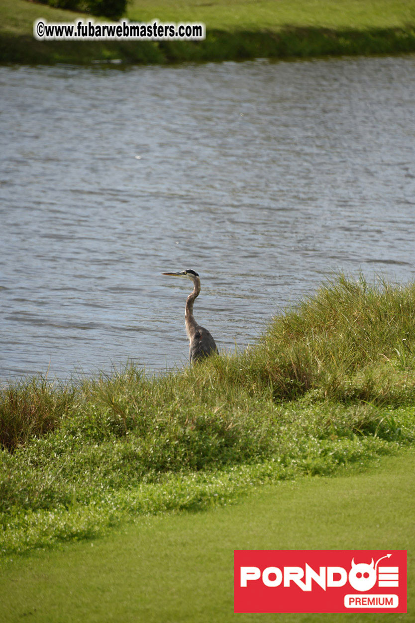 Global Rhapsody Golf Day