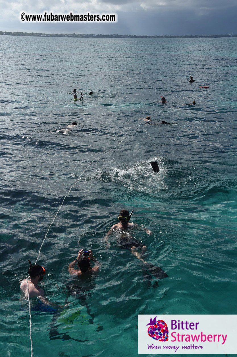 Sailing and Snorkeling Adventure