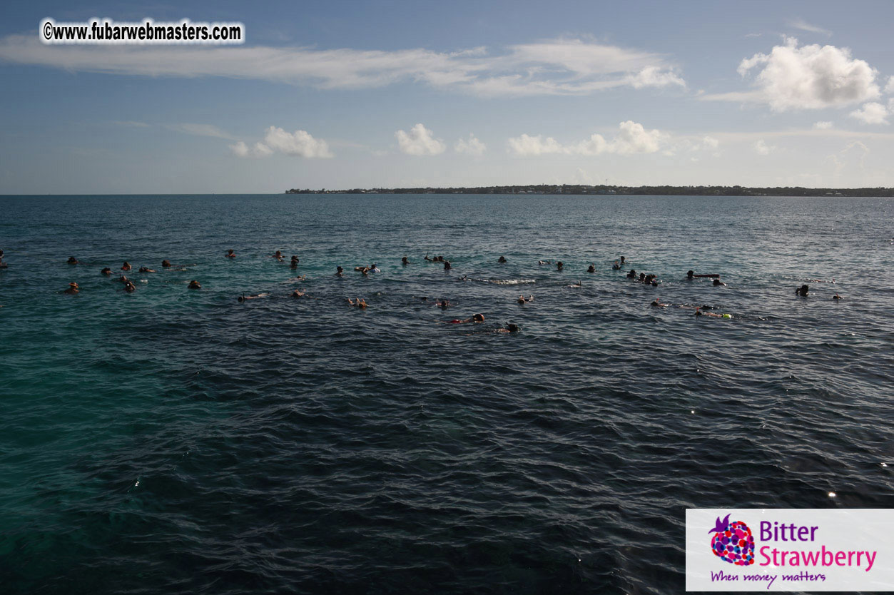 Sailing and Snorkeling Adventure