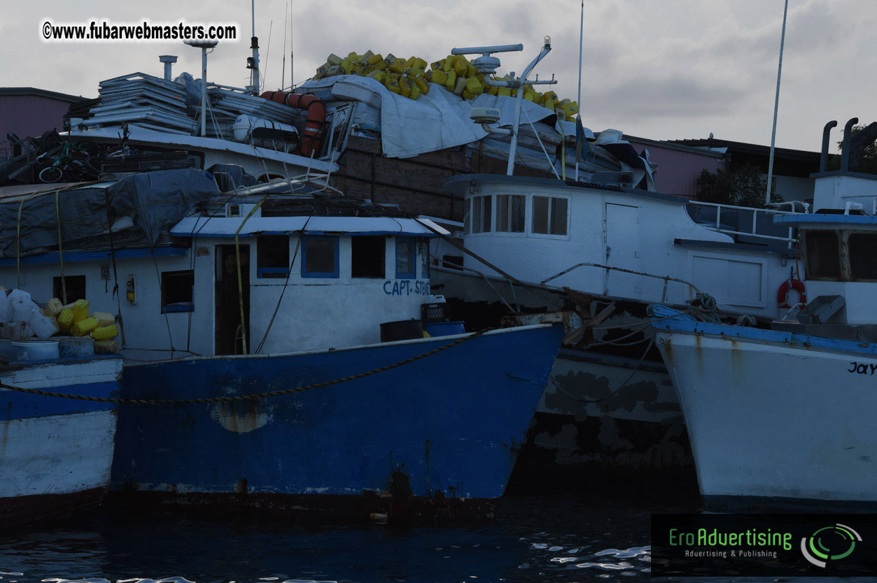 Sailing and Snorkeling Adventure