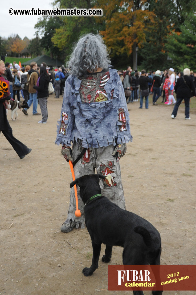 9th Annual Zombie Walk