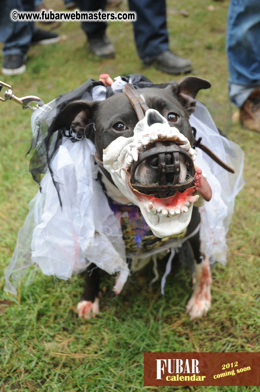 9th Annual Zombie Walk