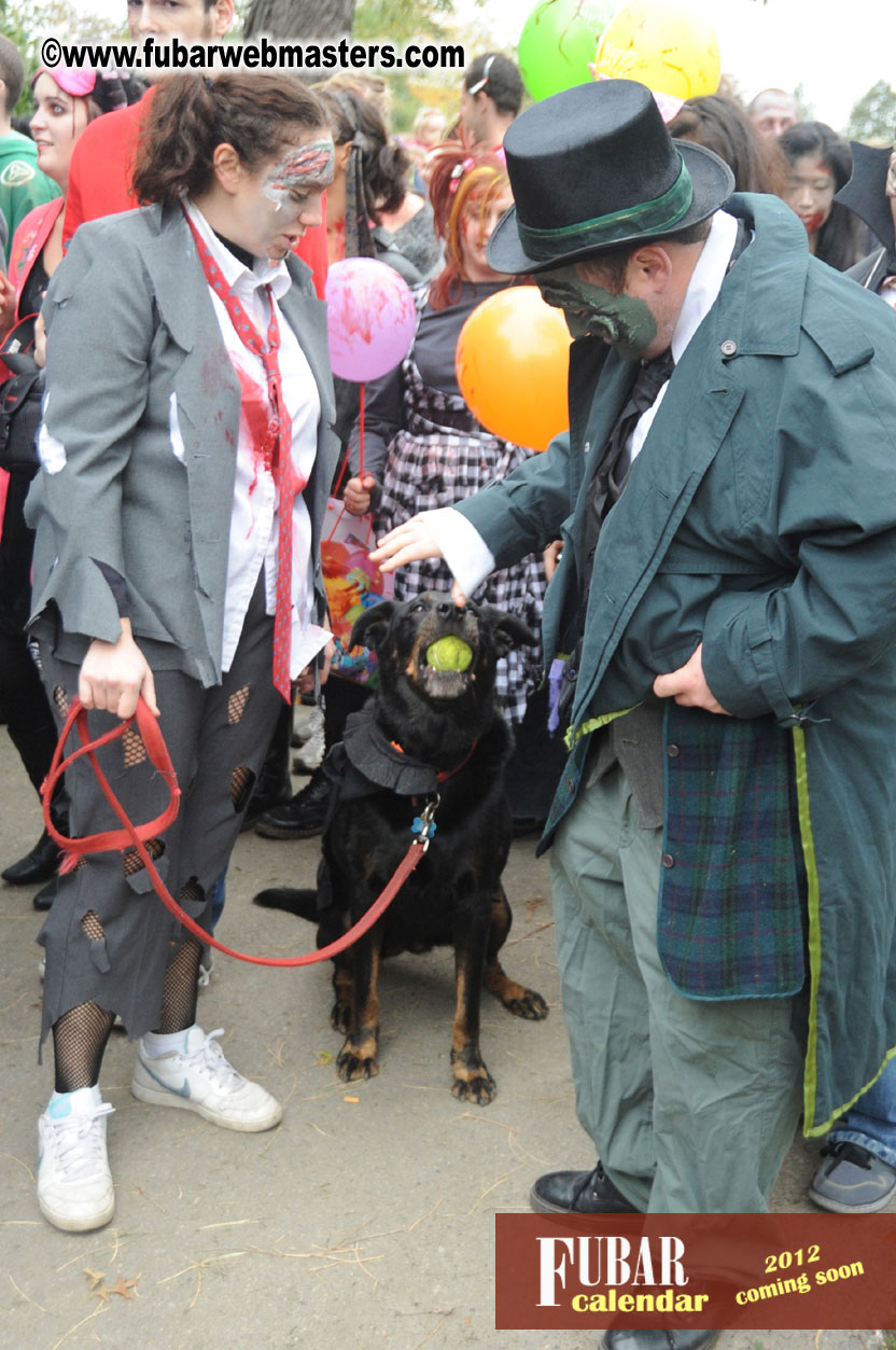 9th Annual Zombie Walk