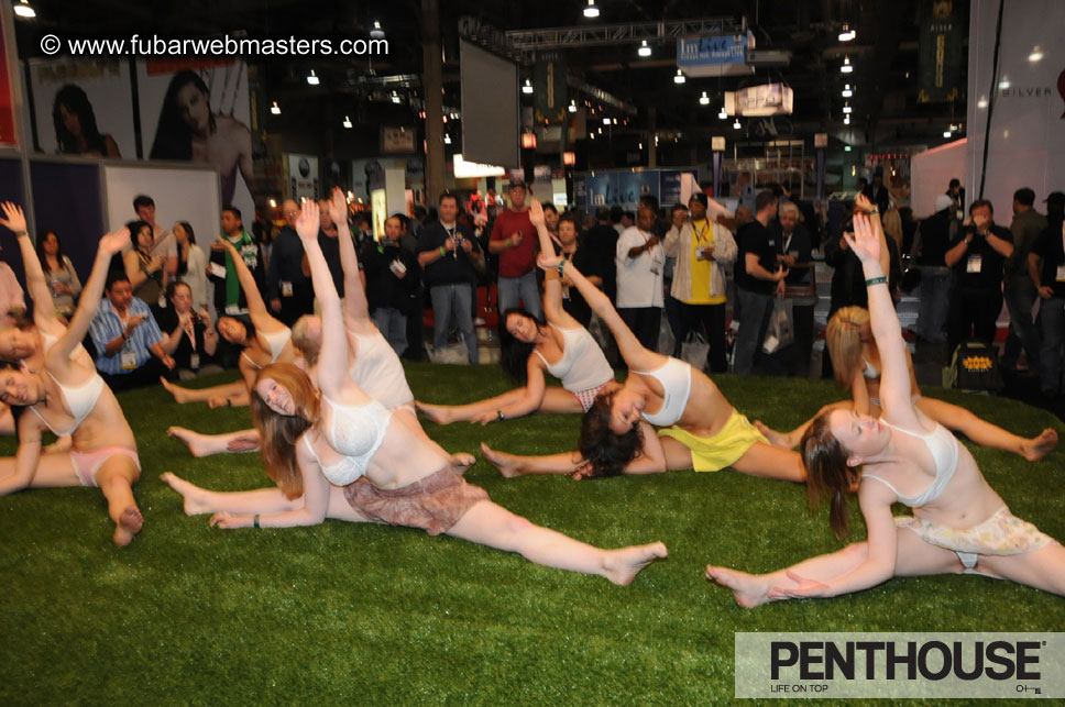 AVN Adult Entertainment Expo