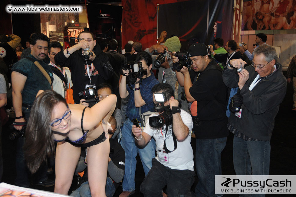 Adult Entertainment Expo