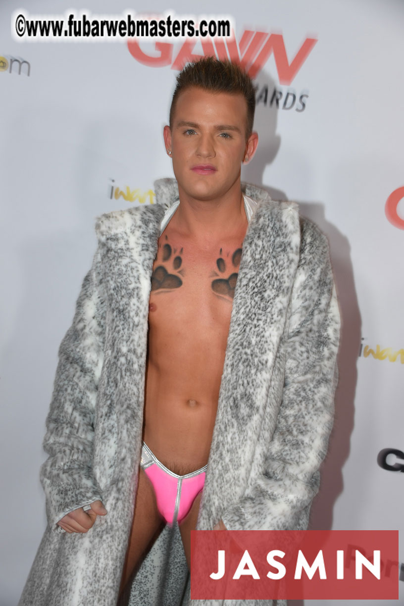 GayVN Awards