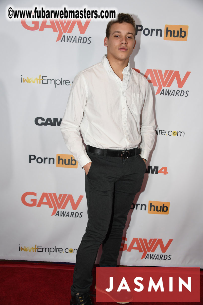 GayVN Awards