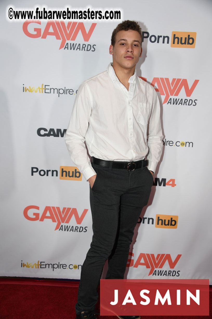 GayVN Awards