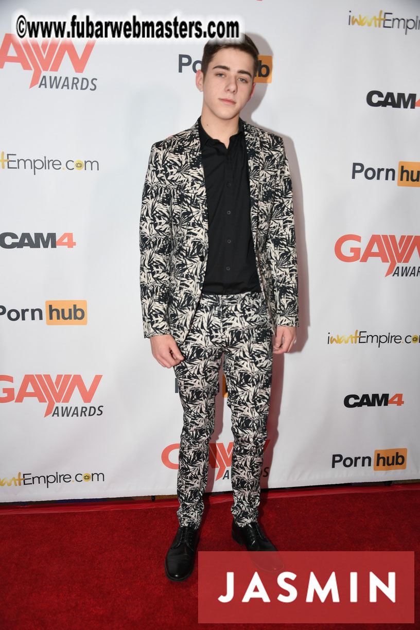 GayVN Awards