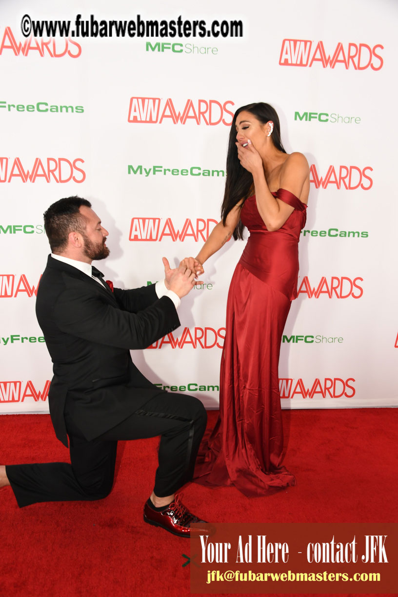 AVN Awards 2019 Red Carpet