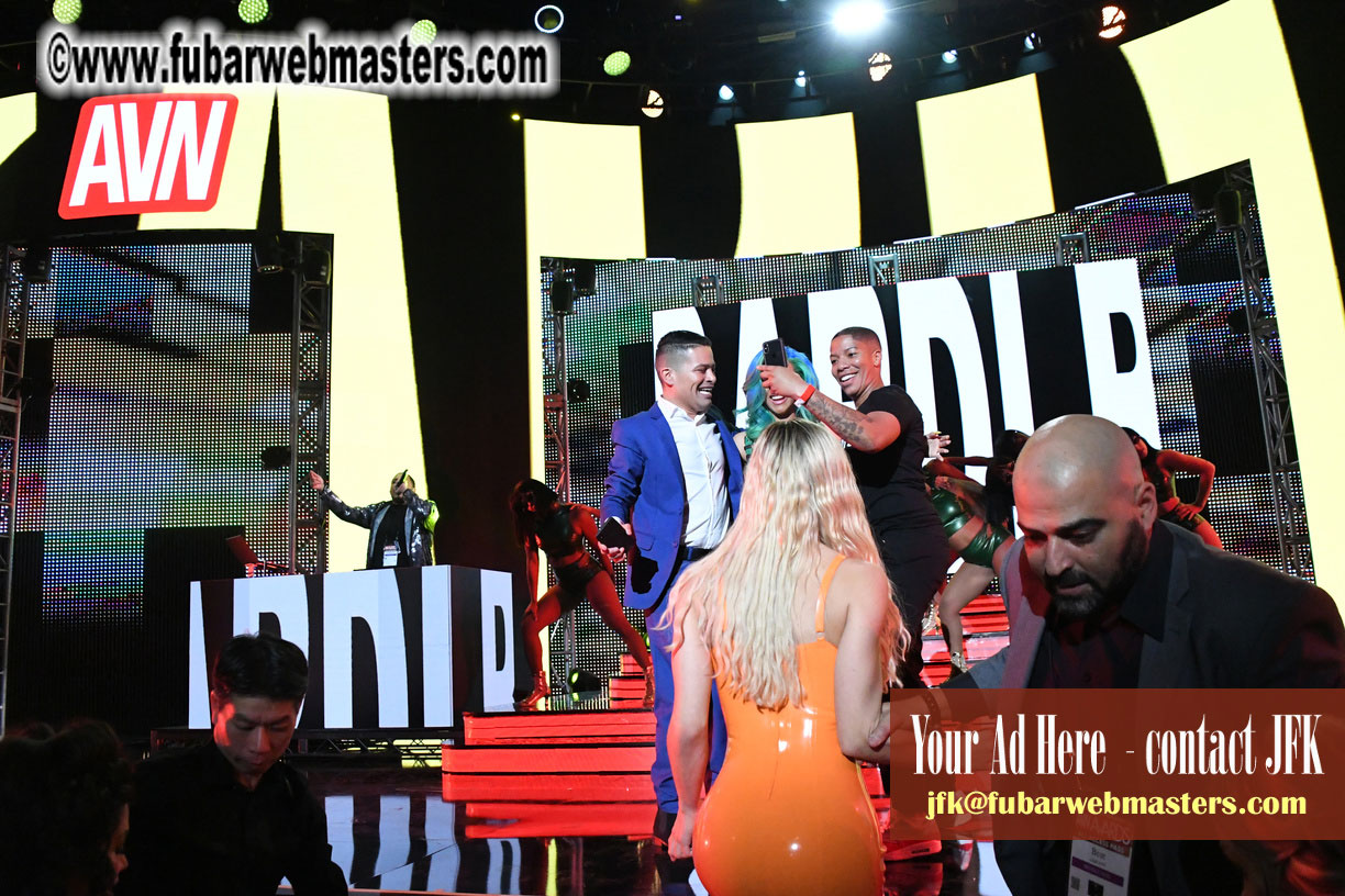 AVN Awards 2019