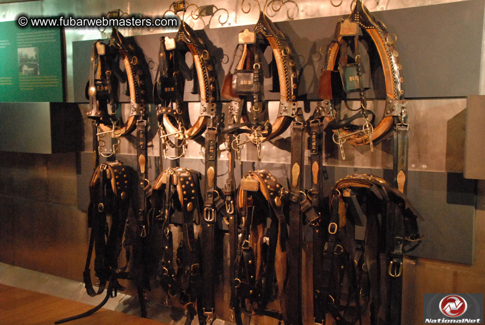 Platinum Bucks Heineken Brewery Tour