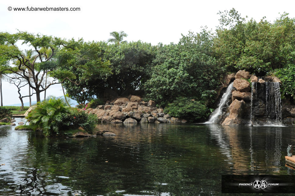 The Hyatt Maui