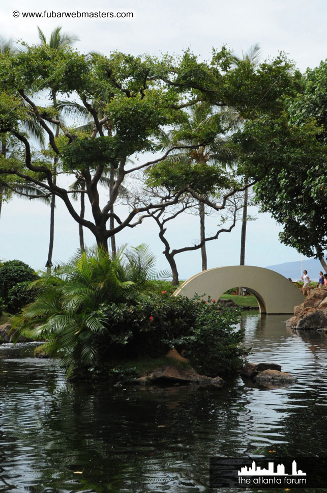 The Hyatt Maui