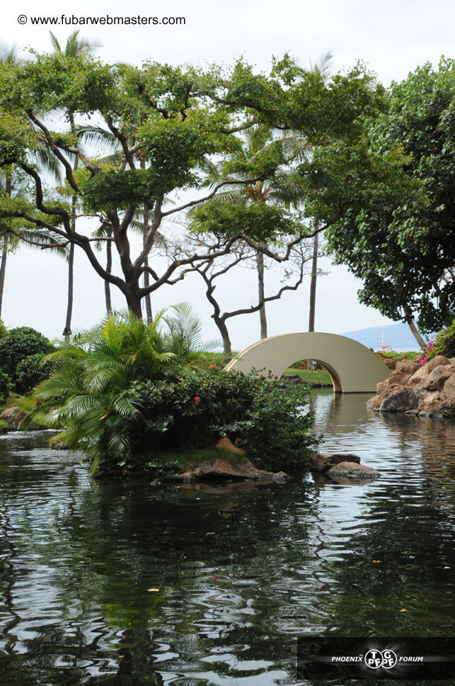 The Hyatt Maui