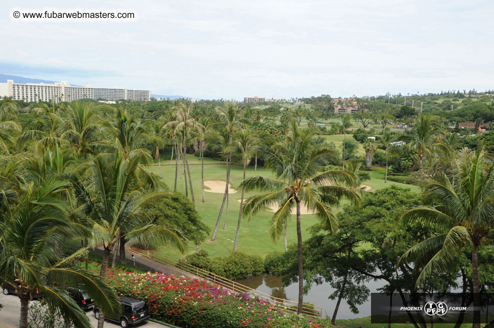 The Hyatt Maui