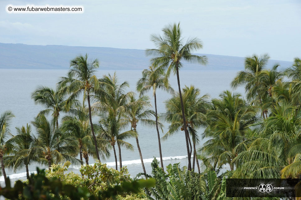 The Hyatt Maui