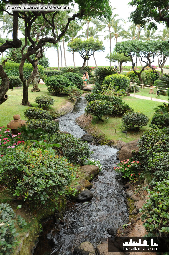 The Hyatt Maui