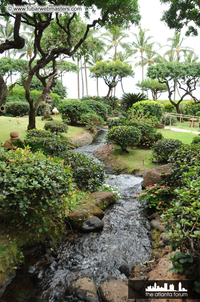 The Hyatt Maui