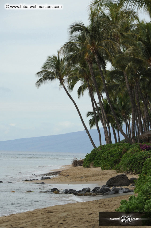 The Hyatt Maui