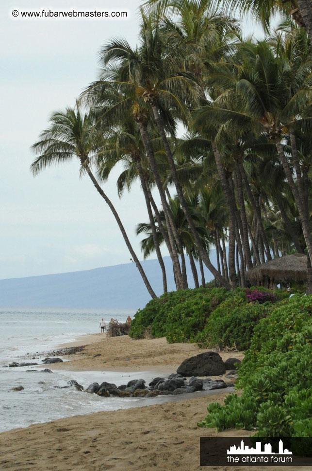 The Hyatt Maui