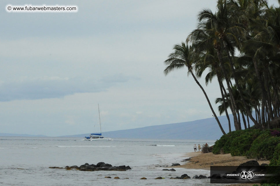 The Hyatt Maui