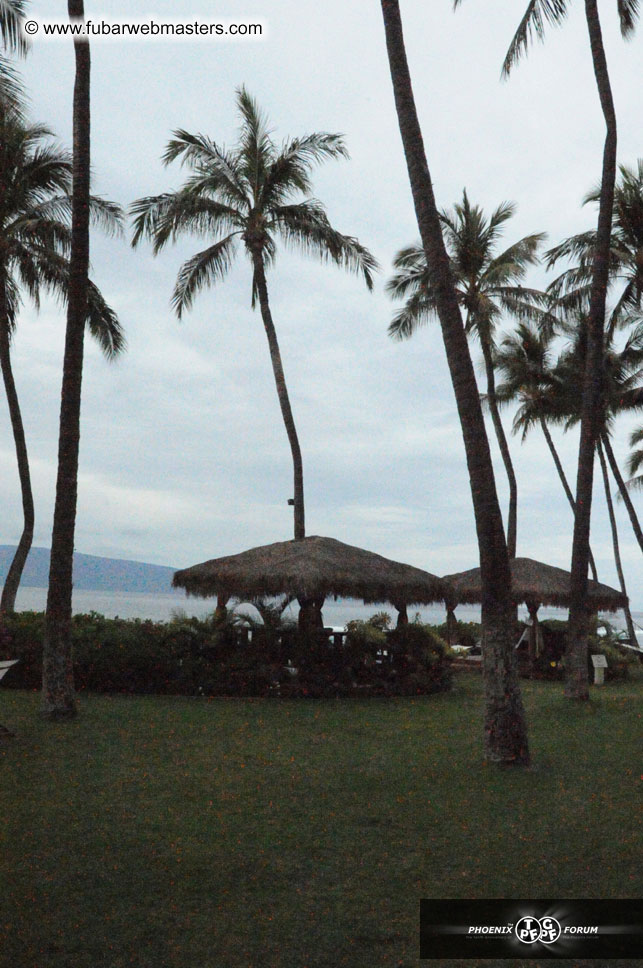 The Hyatt Maui