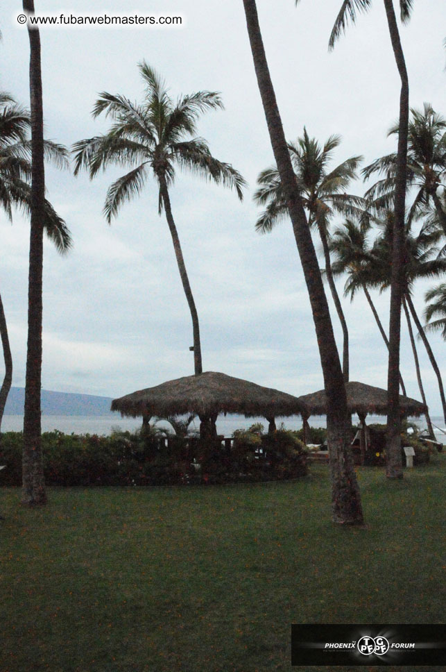 The Hyatt Maui