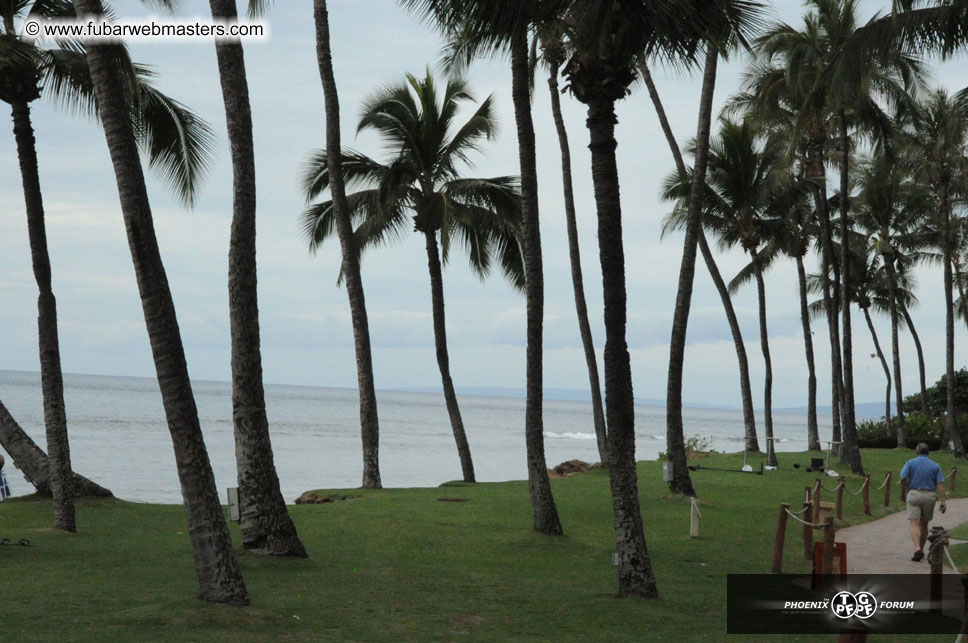 The Hyatt Maui