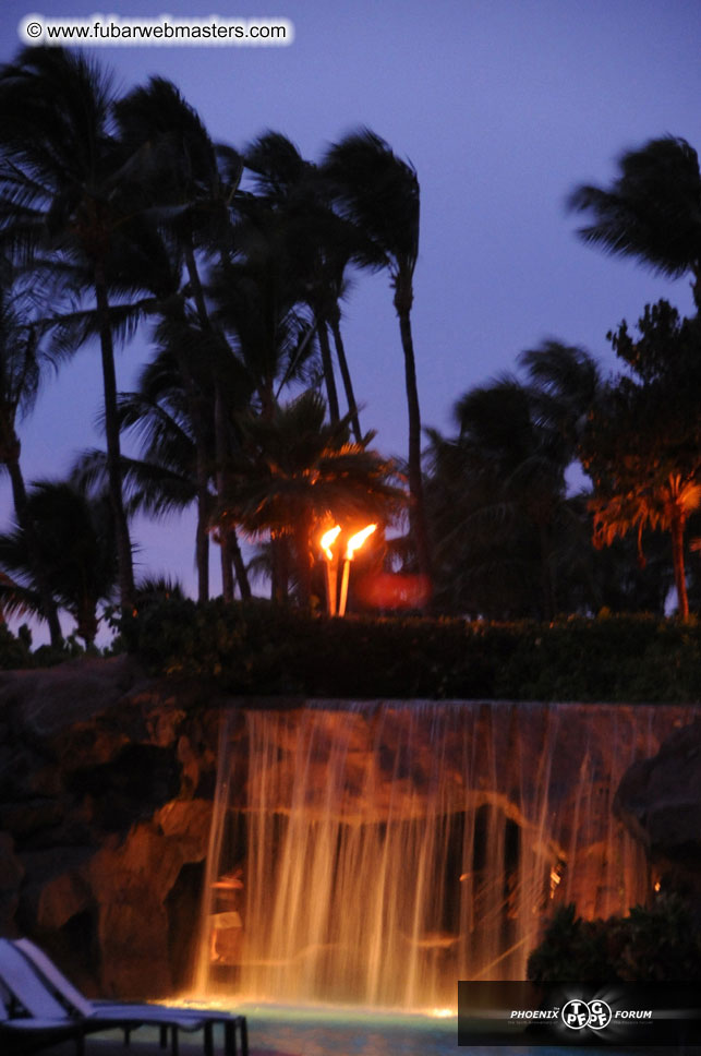 The Hyatt Maui