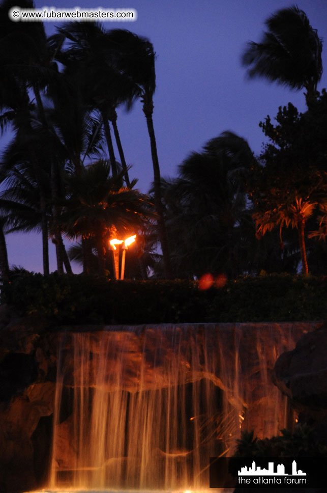 The Hyatt Maui