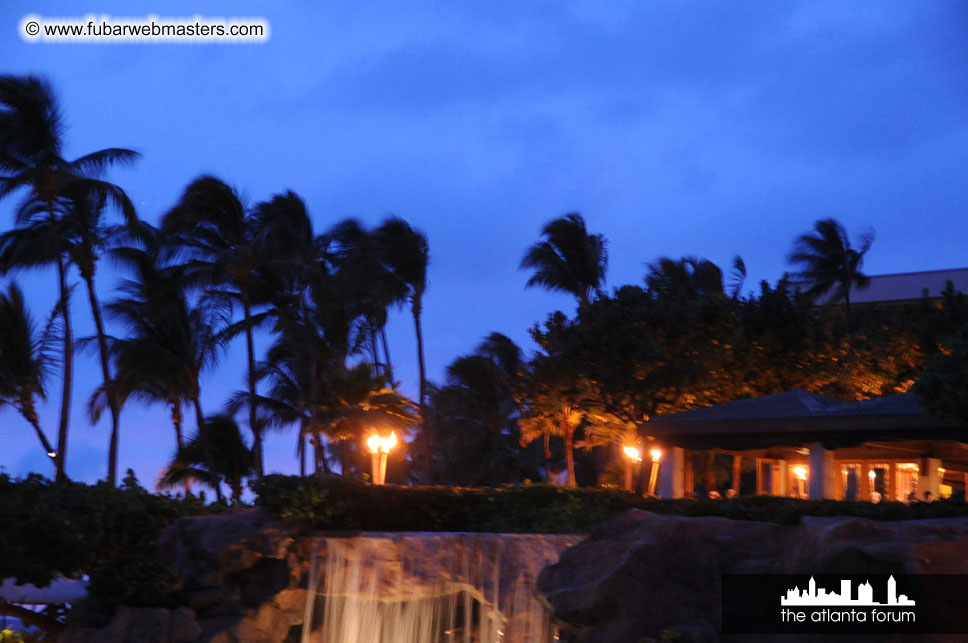 The Hyatt Maui