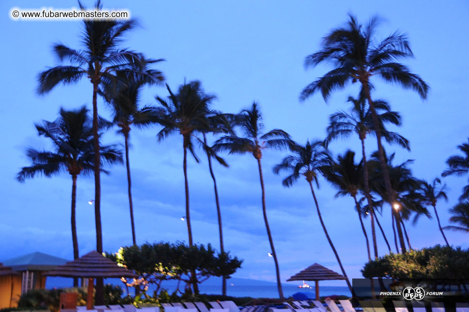 The Hyatt Maui