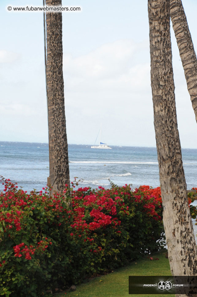 The Hyatt Maui