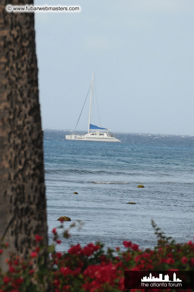 The Hyatt Maui