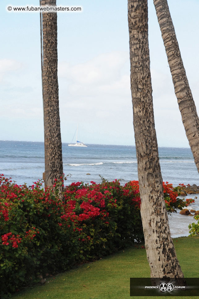 The Hyatt Maui