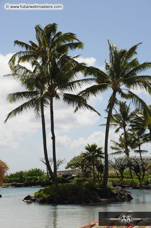 The Hyatt Kauai