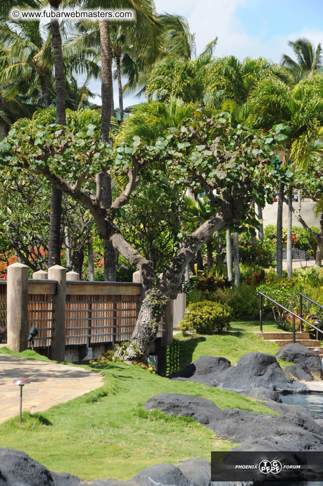 The Hyatt Kauai