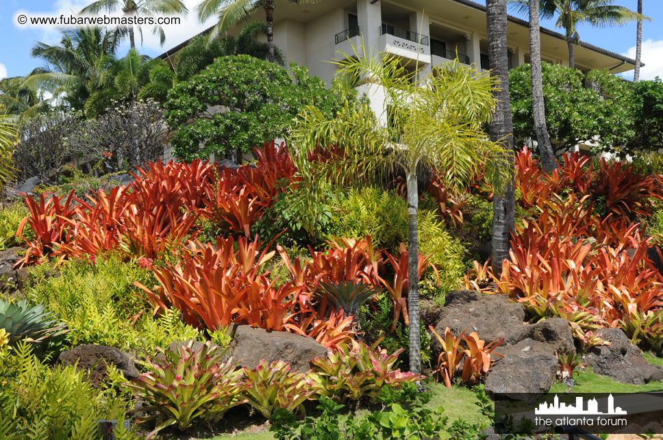 The Hyatt Kauai