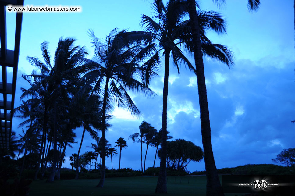 The Hyatt Kauai