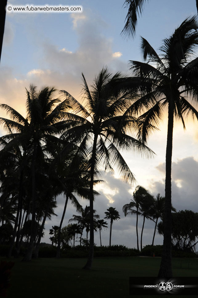 The Hyatt Kauai