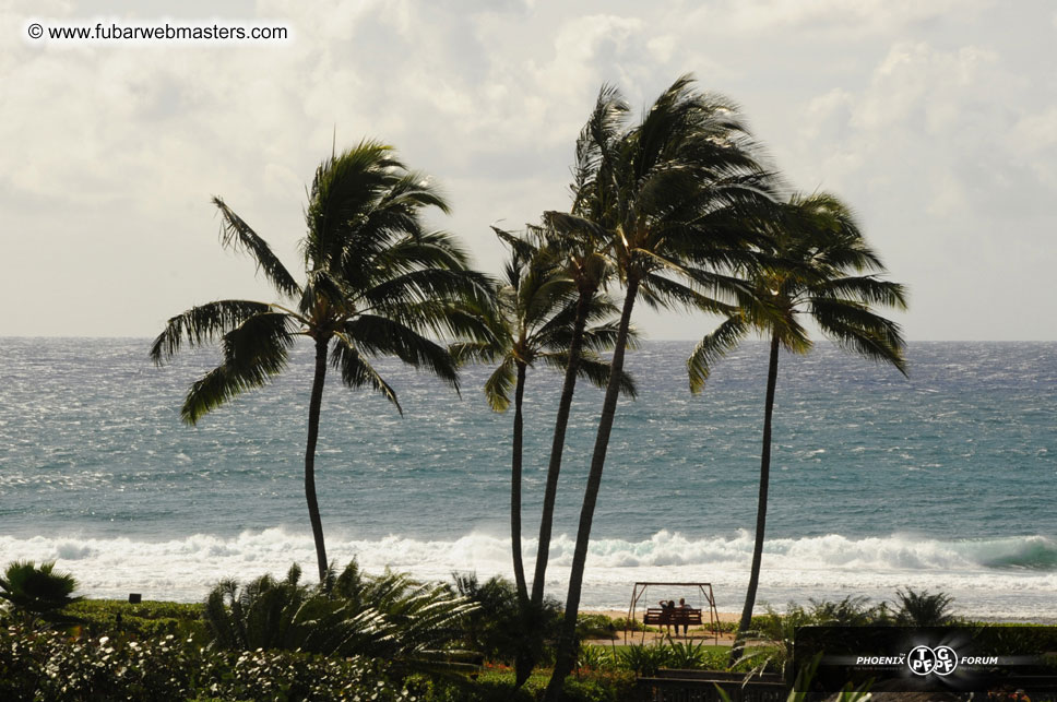 The Hyatt Kauai